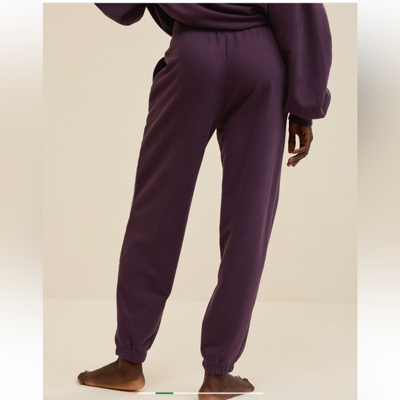 Aerie Women's Purple Jet Setter Jogger Size Medium, NWT - Picture 5 of 8